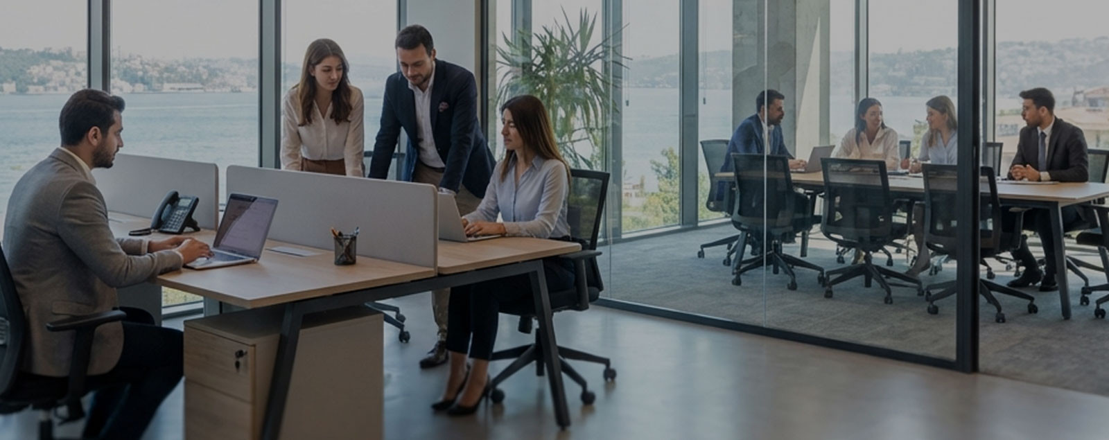 Welcome to the DoGI Academy