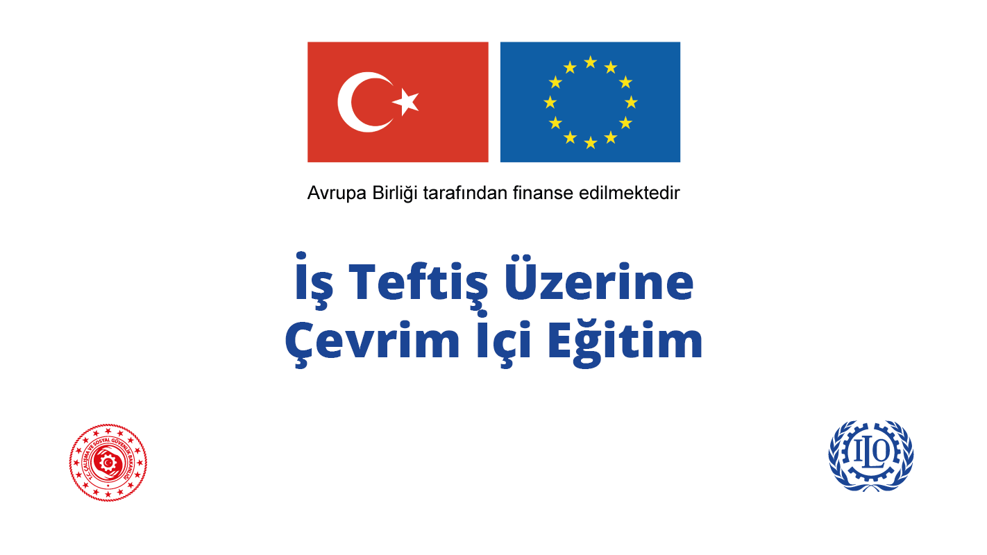 İş Teftiş Üzerine Çevrim İçi Eğitim