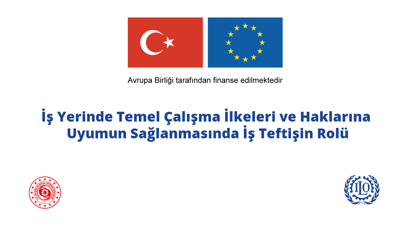 İş Yerinde Temel Çalışma İlkeleri ve Haklarına Uyumun Sağlanmasında İş Teftişin Rolü